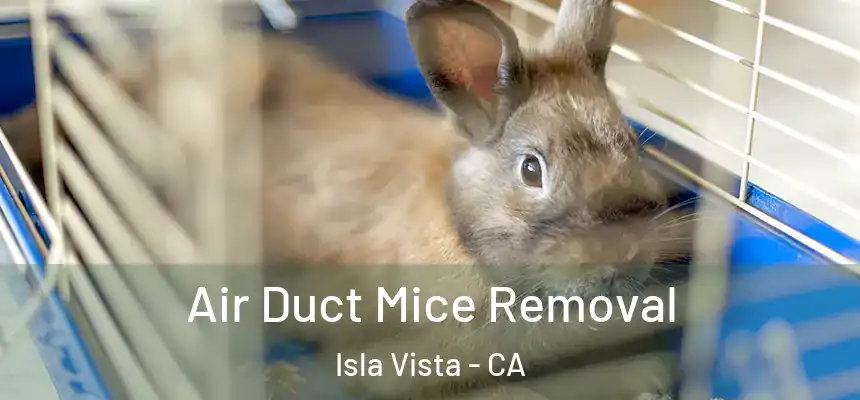  Air Duct Mice Removal Isla Vista - CA