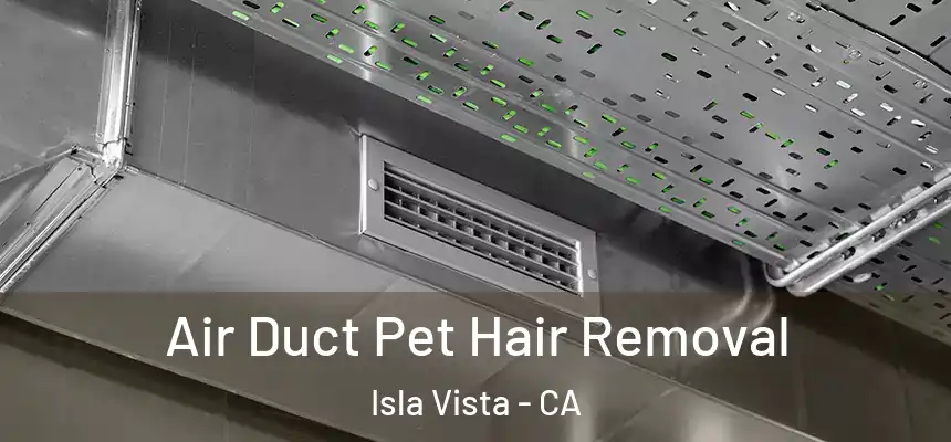  Air Duct Pet Hair Removal Isla Vista - CA