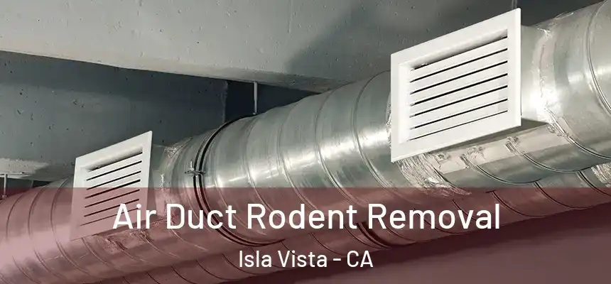 Air Duct Rodent Removal Isla Vista - CA