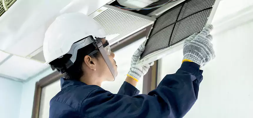 Our Mold & Mildew Removal from Air Ducts Services in Isla Vista, CA