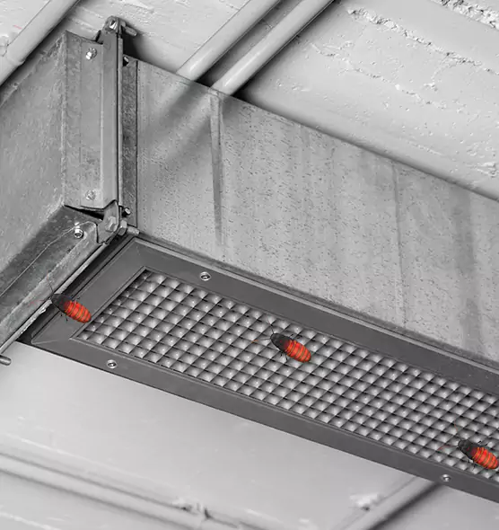 About Air Duct Cockroach Removal in Isla Vista, CA