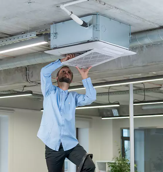 Advanced Rodent Droppings In Vents in Isla Vista, CA
