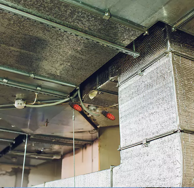 Why Homeowners & Businesses Trust Us in Isla Vista, CA?