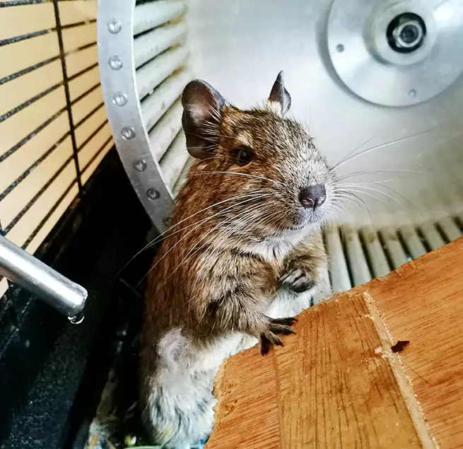 Why Homeowners & Businesses Trust Us Isla Vista, CA?