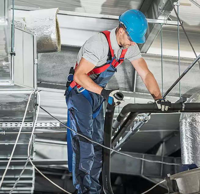 Why Homeowners & Businesses Trust Us in Isla Vista, CA?