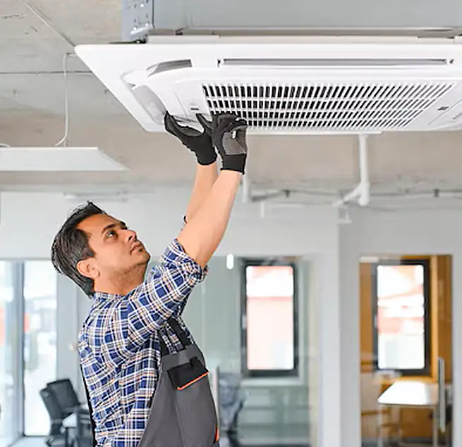 Why Homeowners & Businesses Trust Us in Isla Vista, CA?