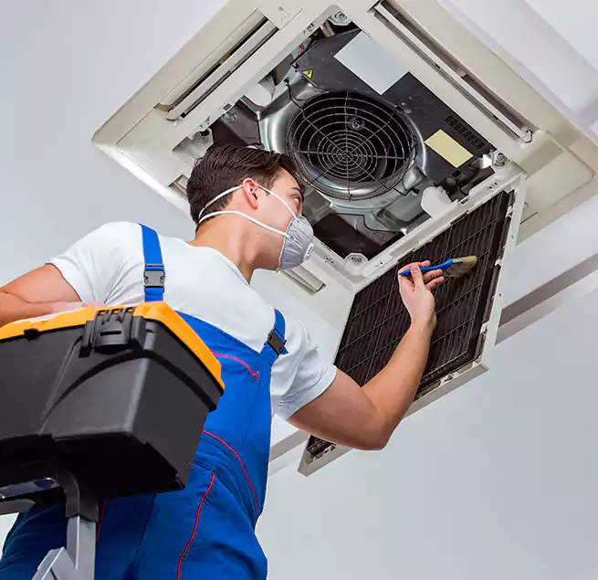 Why Homeowners & Businesses Trust Us in Isla Vista, CA