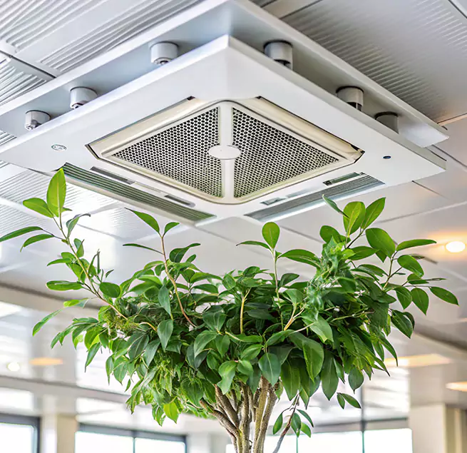 Why Homeowners & Businesses Trust Us in Isla Vista, CA