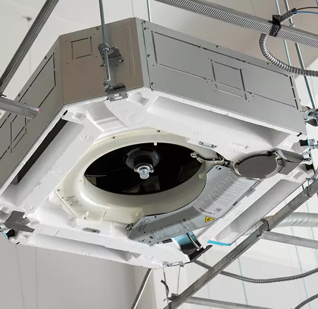 Why Homeowners & Businesses Trust Us in Isla Vista, CA?