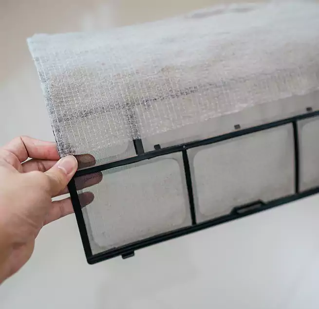 Why Homeowners & Businesses Trust Us in Isla Vista, CA?