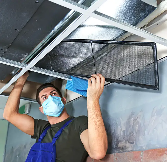 Why Homeowners & Businesses Trust Us in Isla Vista, CA?