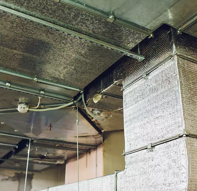 Why Homeowners & Businesses Trust Us in Isla Vista, CA?