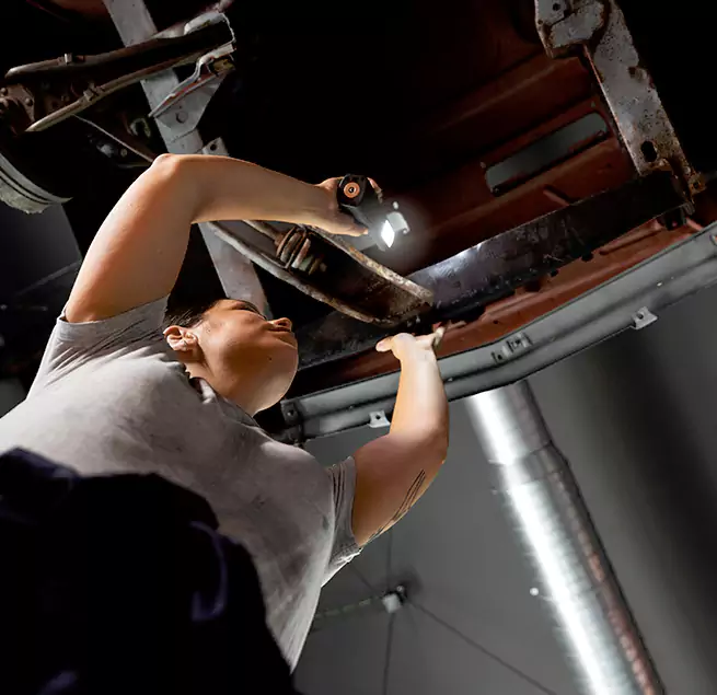 Why Homeowners & Businesses Trust Us Isla Vista, CA