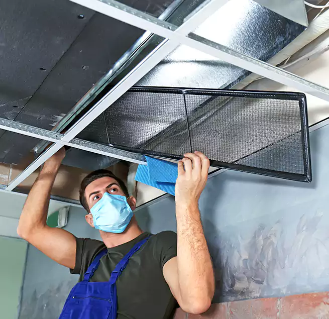 Why Homeowners Businesses Trust Us in Isla Vista, CA