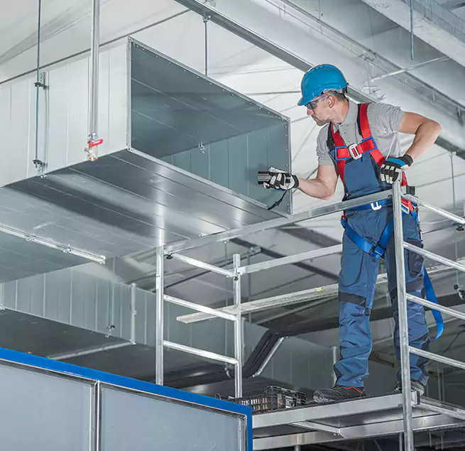 Why Homeowners & Businesses Trust Us Isla Vista, CA